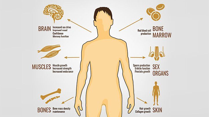 Mens-Health-and-Testosterone.jpg