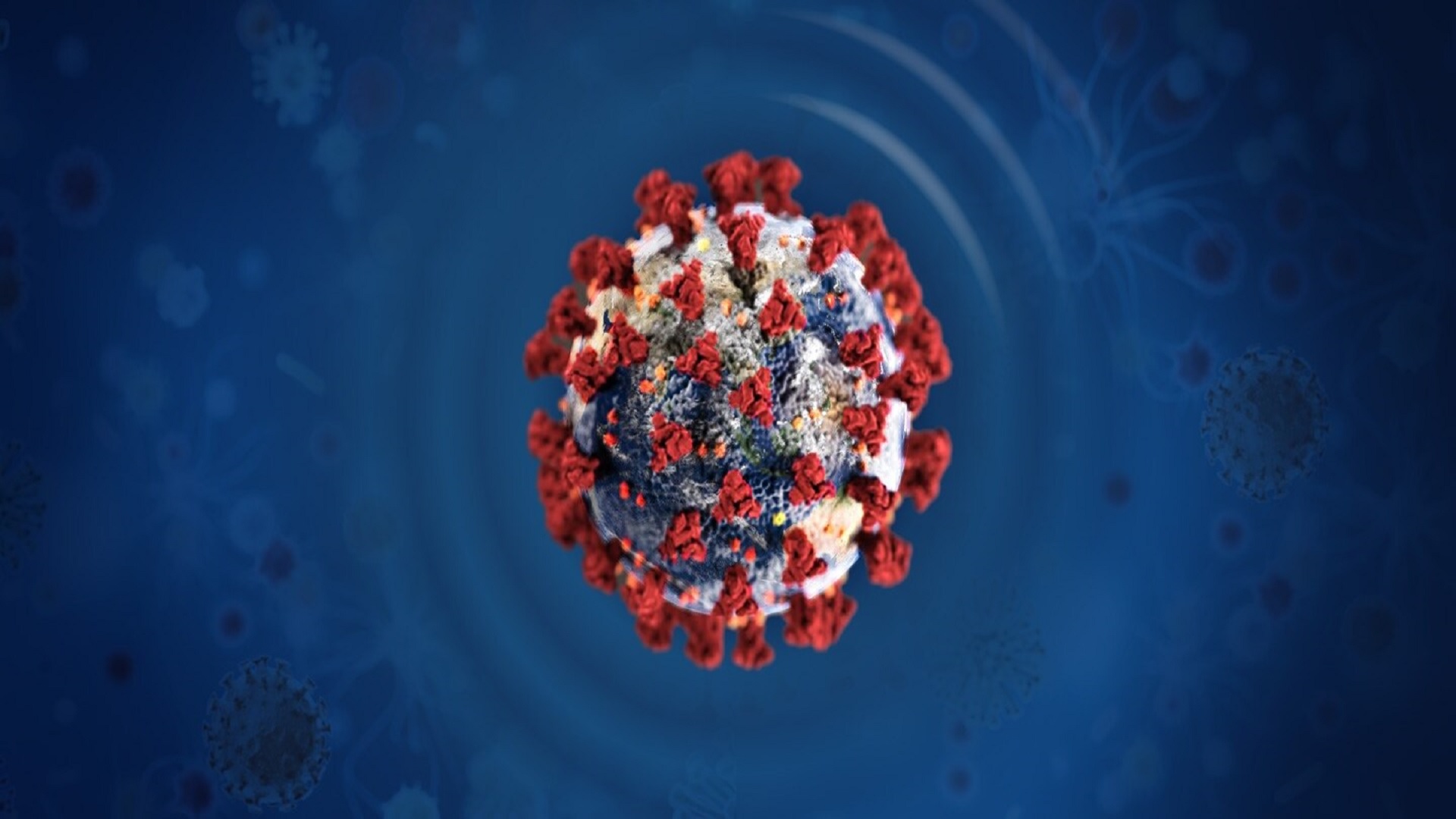 Κορωνοϊός Αποκαλυπτική Μελέτη: Ο ρόλος των ανοσοκυττάρων του μυελού των οστών στον ιό