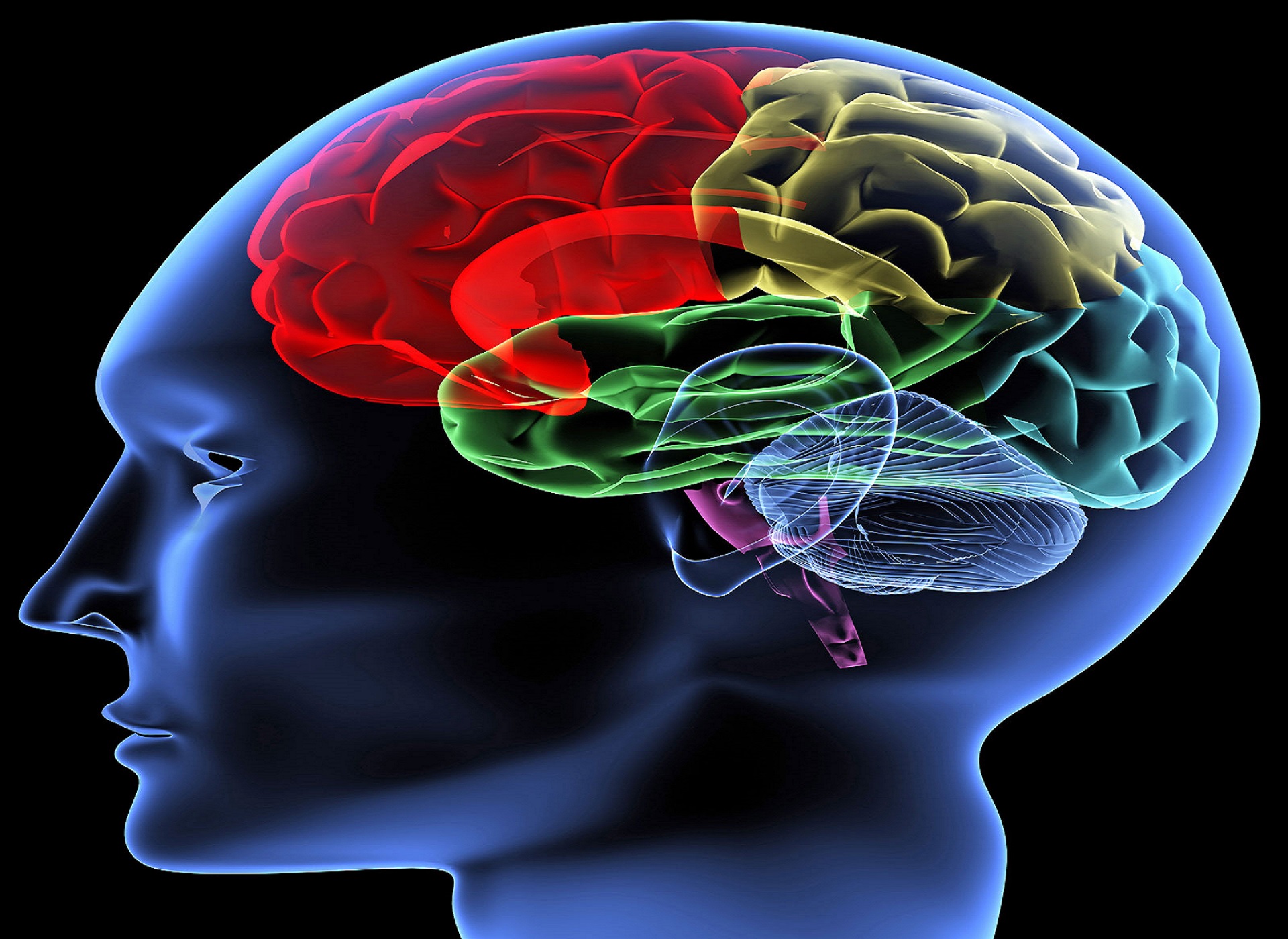 Εγκέφαλος επεξεργασία χρώμα: Νέα μέθοδος εξηγεί την αντίδραση στα ερεθίσματα