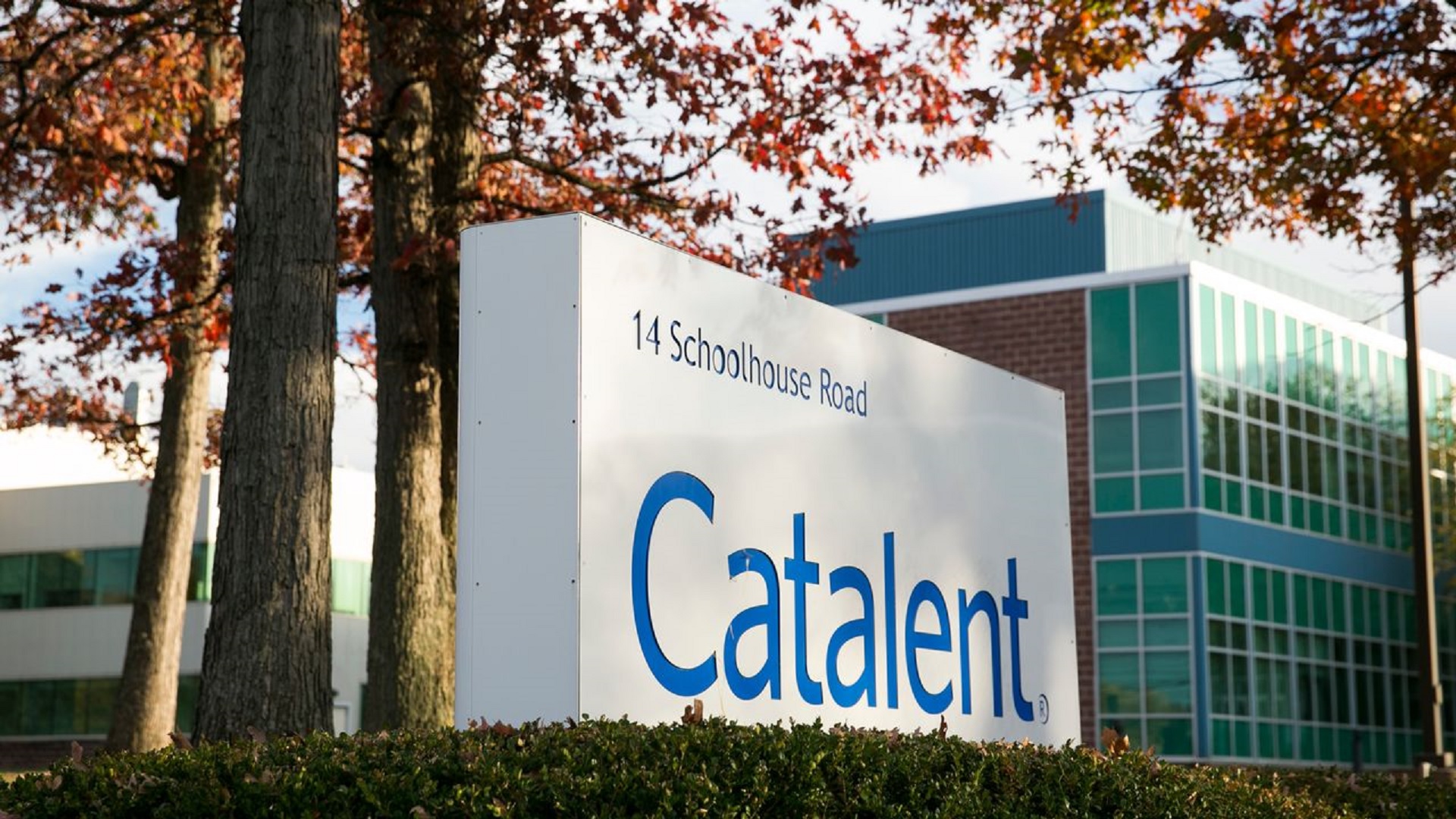 Catalent Stevanato κορωνοϊός: Συνεργασία κατά του covid-19