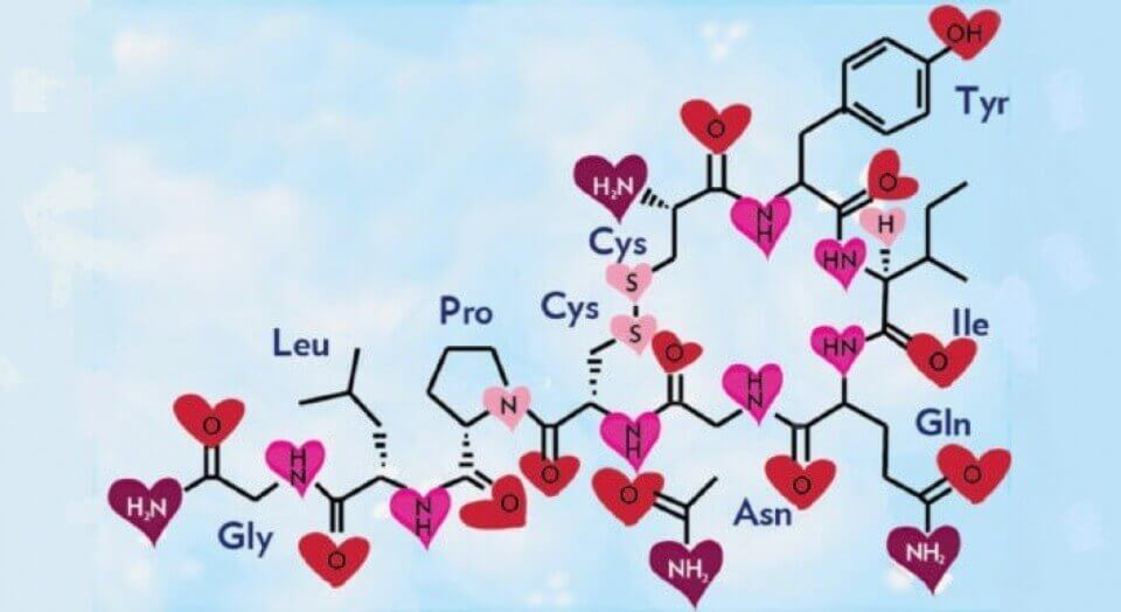 Ωκυτοκίνη η ορμόνη της αγάπης: Ποιες είναι οι επιδράσεις της