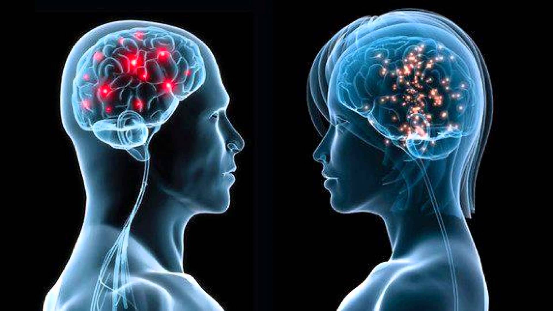Εγκέφαλος- λειτουργία: Ποιες είναι οι διαφορές ανάμεσα στα δύο φύλα