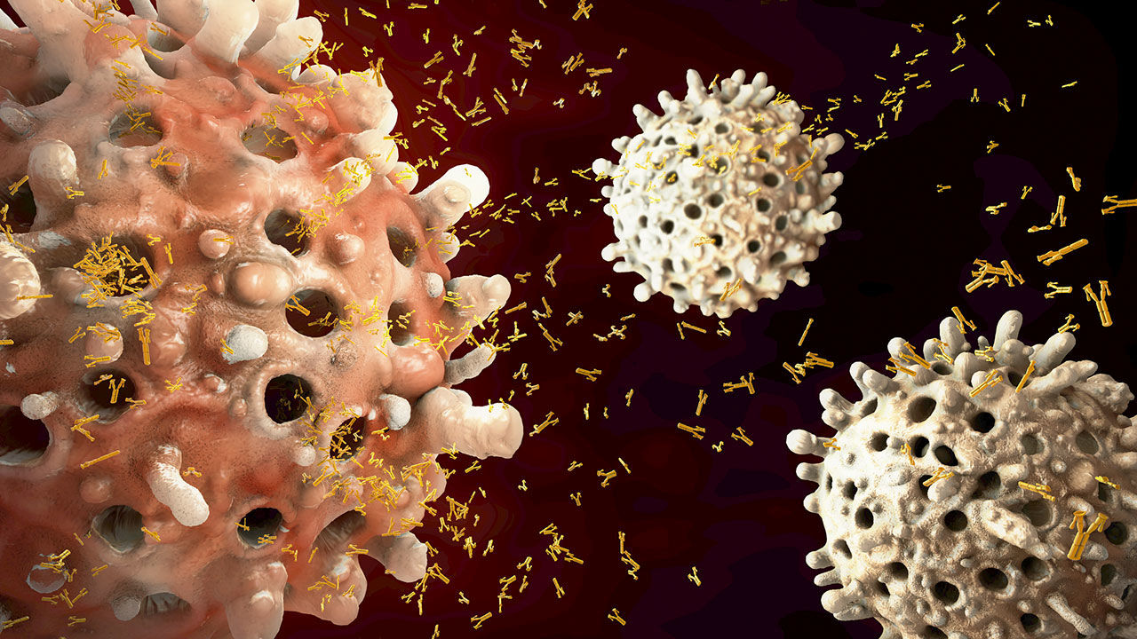 Λεμφοκύτταρα κορωνοϊός: Επαρκούν για προστασία από τη λοίμωξη