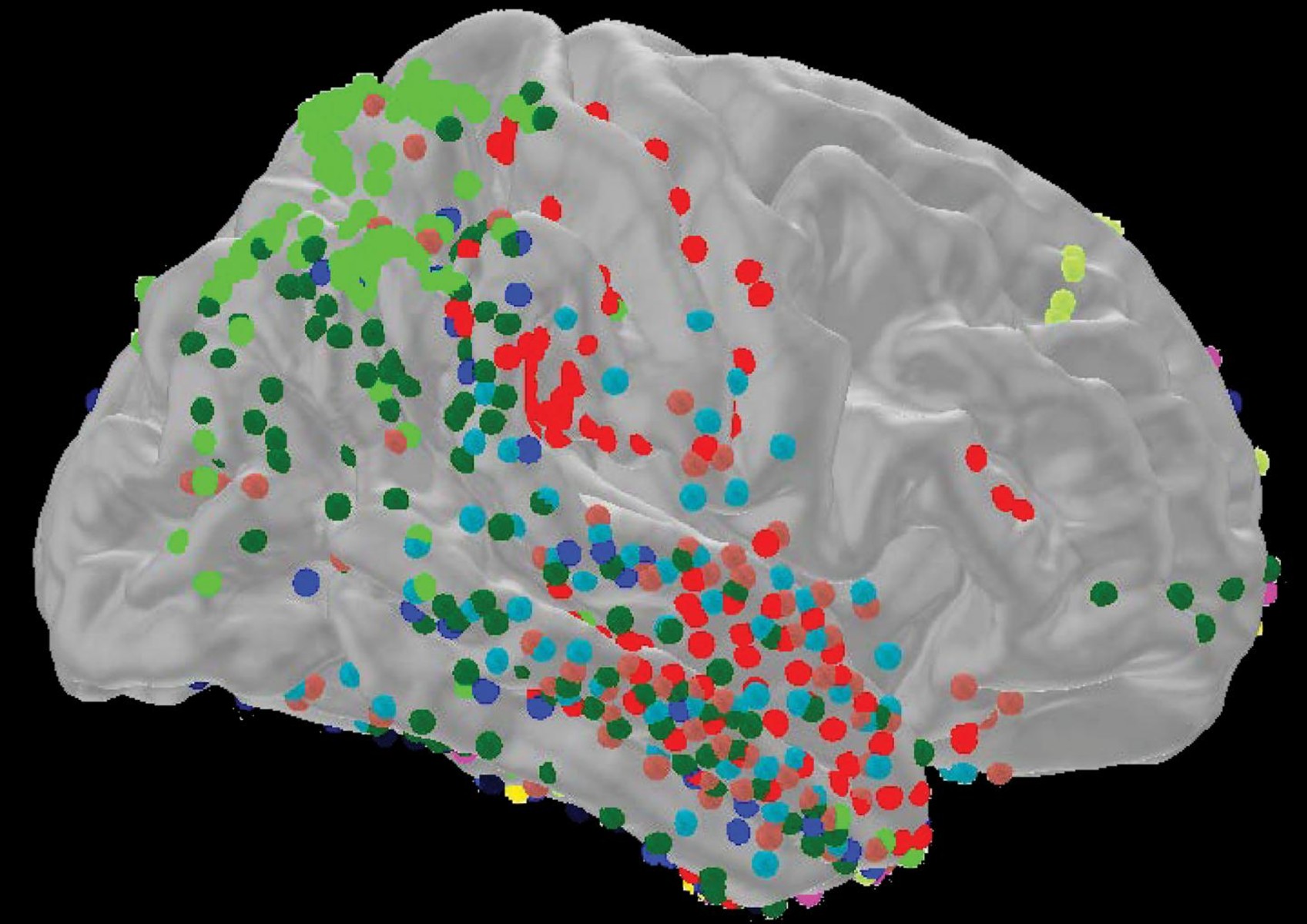 Εγκέφαλος και συμπεριφορά: Έρευνες δείχνουν πώς αναγνωρίζει το διαφορετικό