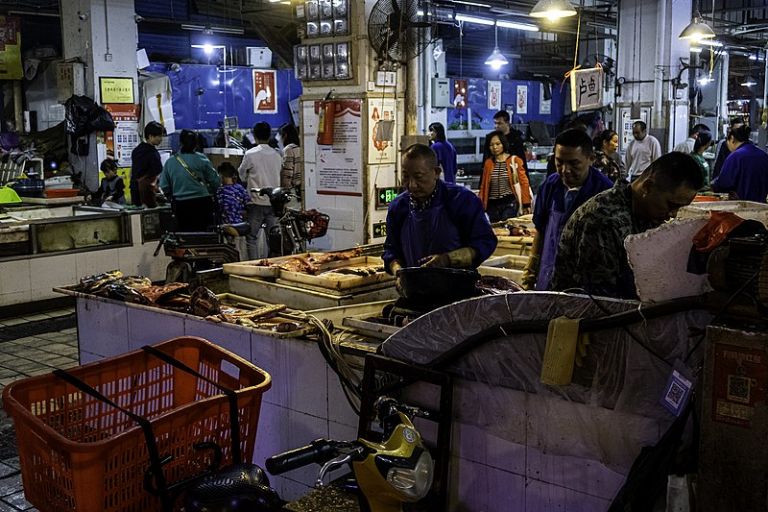 Πανδημία κορωνοϊός: Ο ΠΟΥ στέλνει επιστημονική ομάδα στη Γουχάν