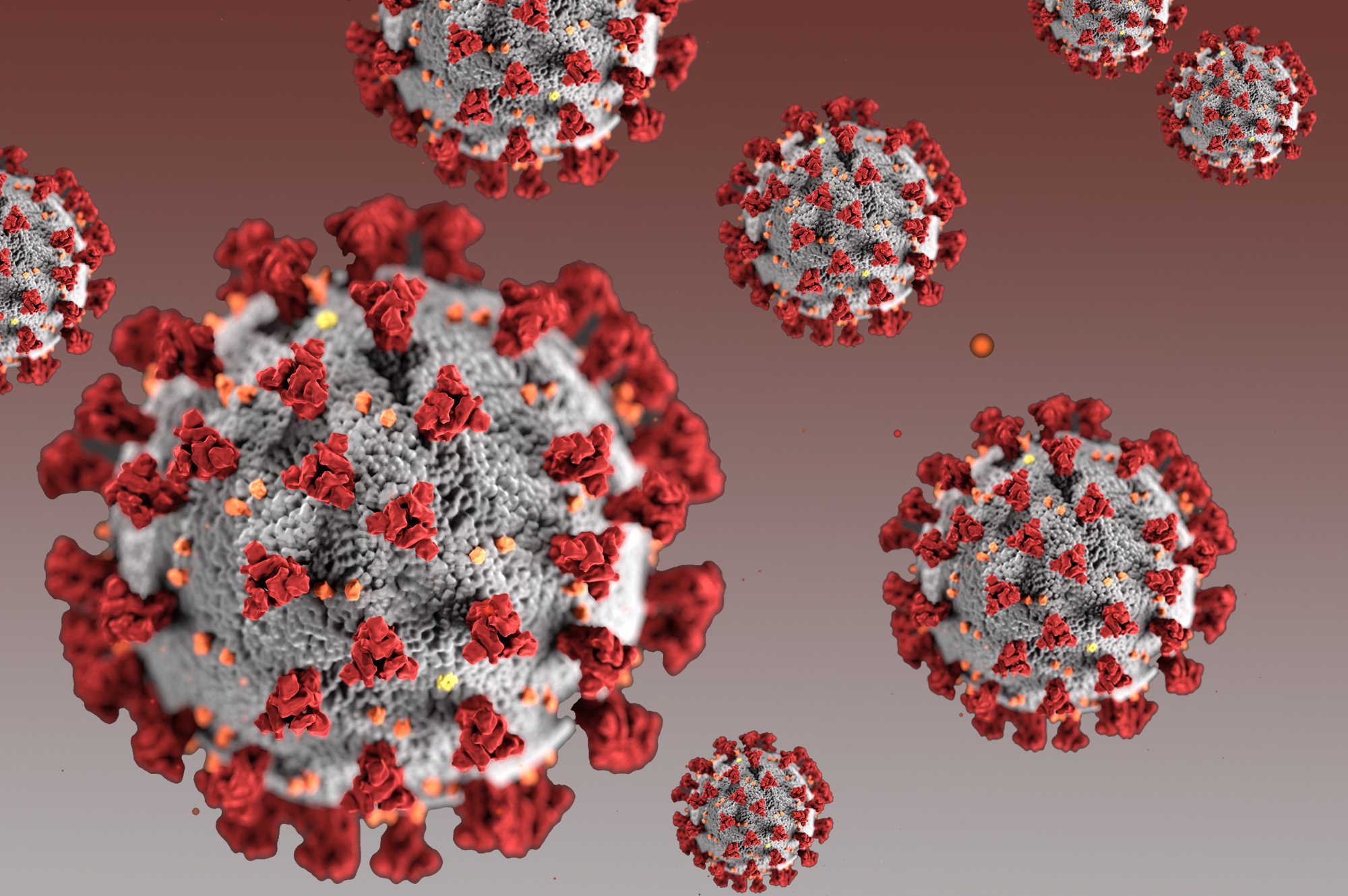 Κορωνοϊός μετάλλαξη: Τα στελέχη του ιού και η ταχεία εξάπλωσή του