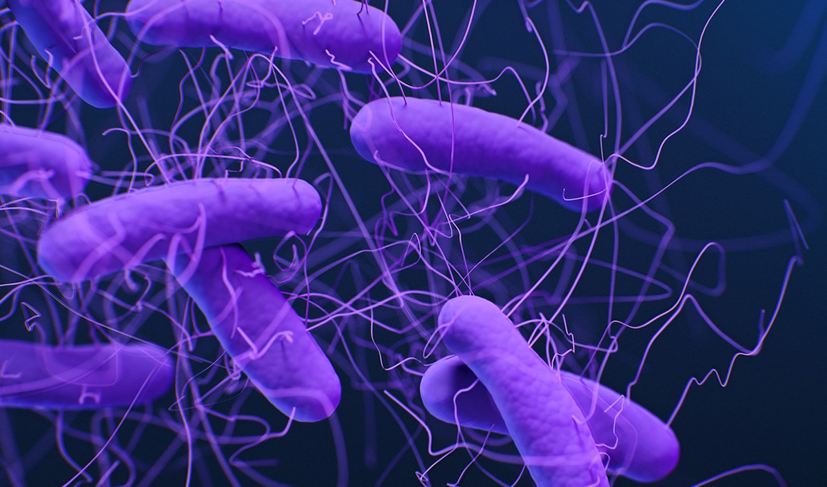 Διαρρέον έντερο: Πώς τα μικρόβια του εντέρου γίνονται επικίνδυνα