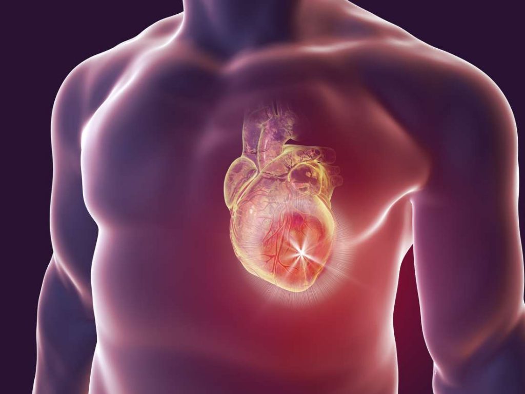 Ένζυμο ενεργοποιεί τα καρδιακά κύτταρα για ανάκαμψη από καρδιακή προσβολή 