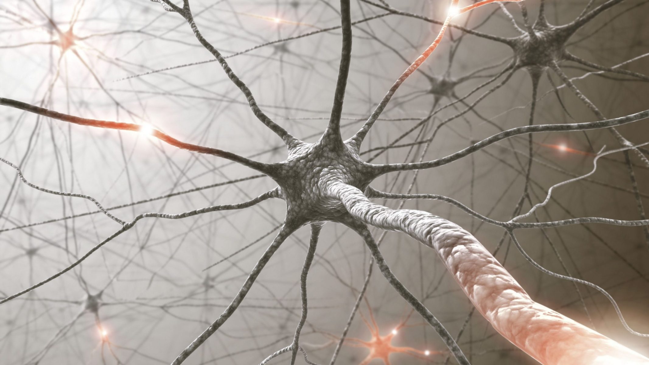 Νευρώνες: Ποιες είναι οι συνήθειες που τους σκοτώνουν