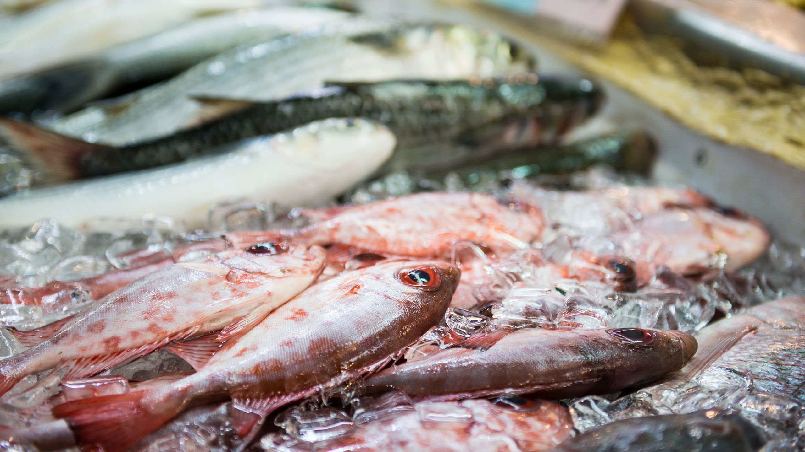 Οι καλά κρυμμένοι κίνδυνοι της κατανάλωσης θαλάσσιων προϊόντων
