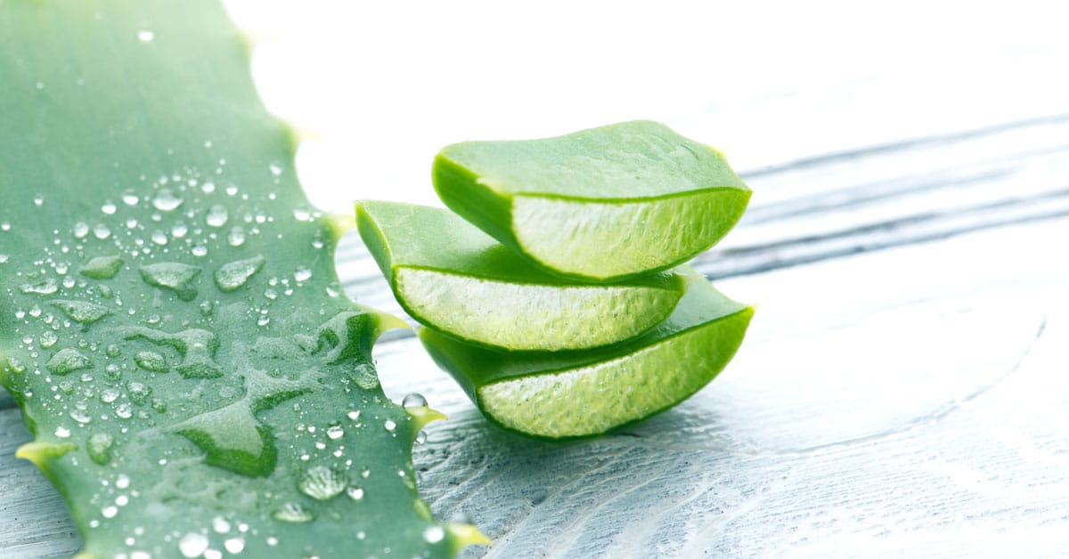 Αλόη: Πώς να χρησιμοποιήσετε την aloe vera στο πρόσωπό σας