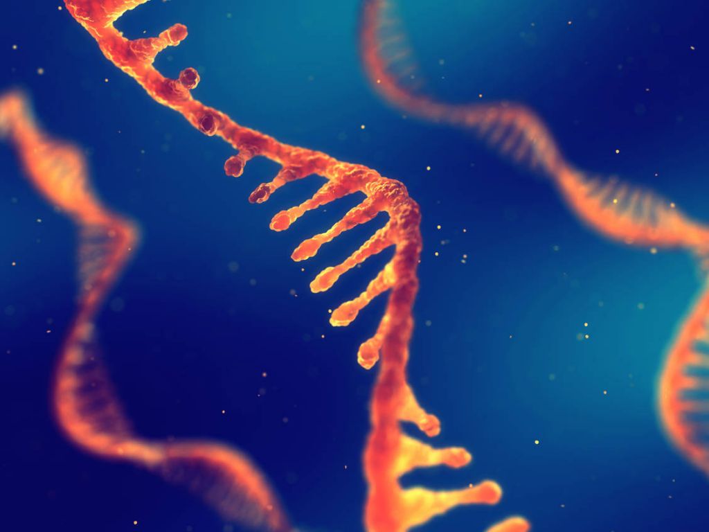 Επιστημονικά νέα: Πώς η mRNA τεχνολογία μπορεί να βοηθήσει στην καταπολέμηση του καρκίνου στο μέλλον