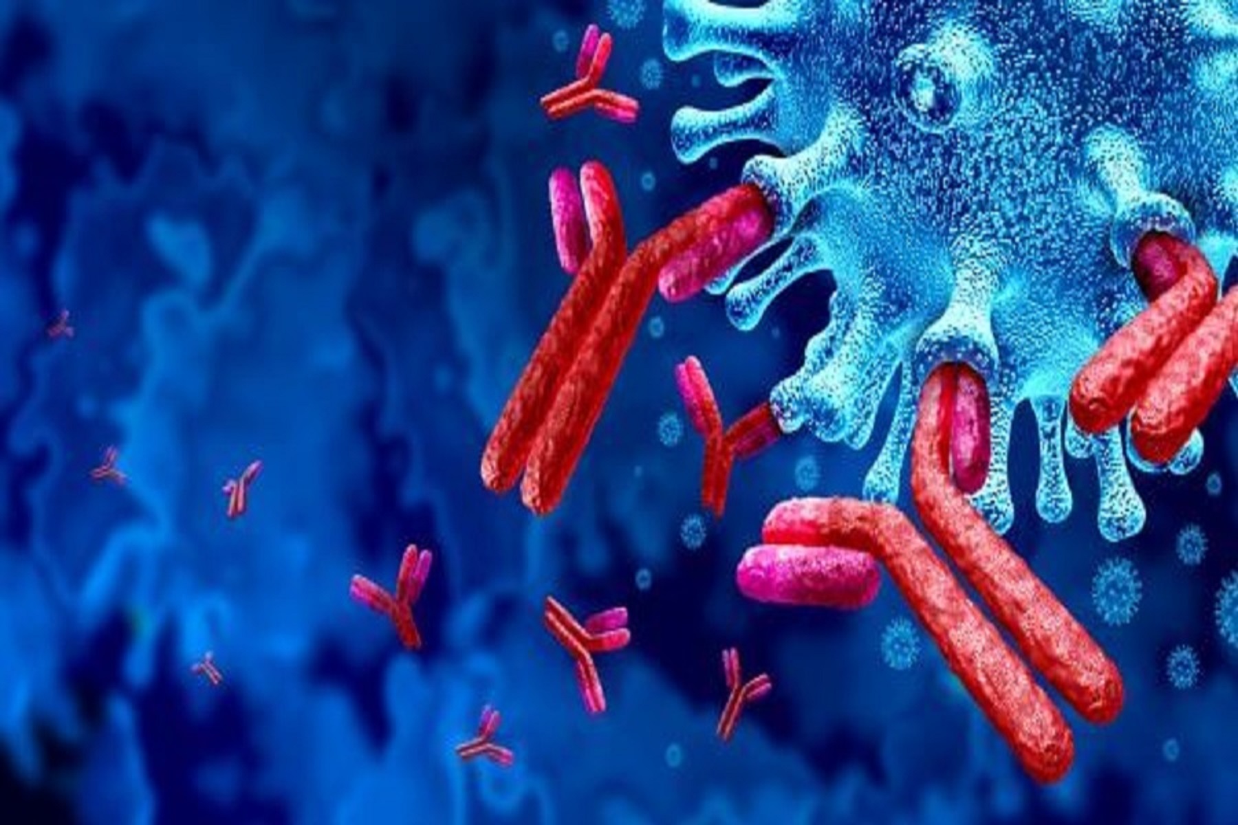 Ερευνητές Οξφόρδη: Νέοι στόχοι για αντισώματα στην καταπολέμηση του SARS-CoV-2