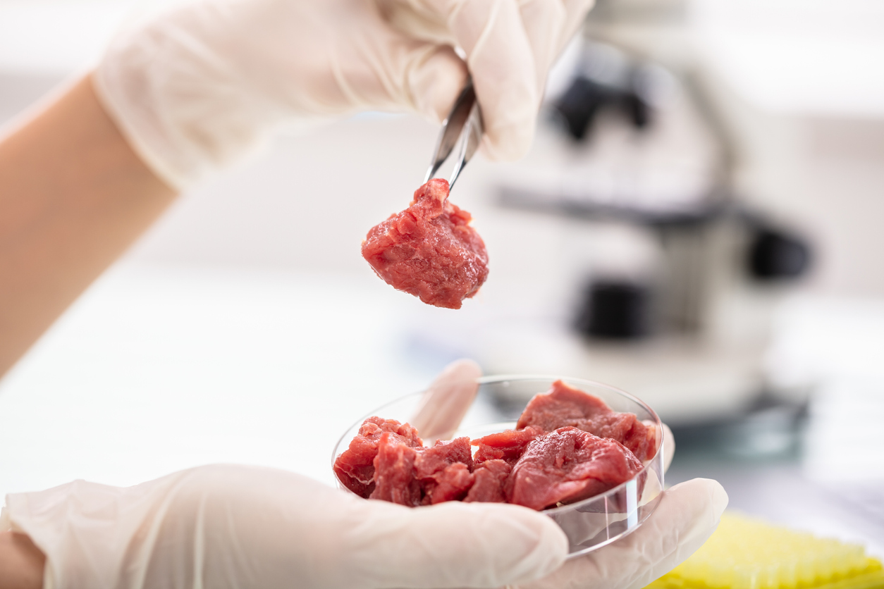 Κρέας εργαστήριο: Πως το βοδινό κρέας καλλιεργείται στο εργαστήριο