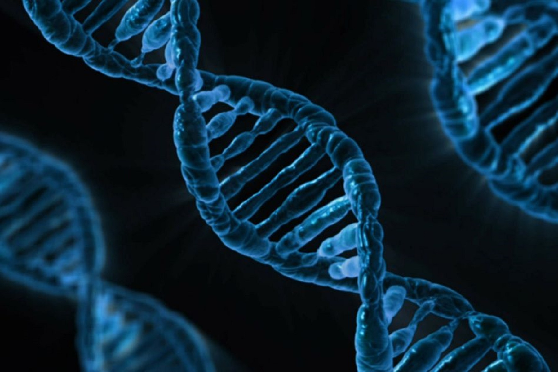 Σύνδρομο Rett & MECP2: Ερευνητές εντοπίζουν στοιχεία DNA που επηρεάζουν διανοητικές αναπηρίες