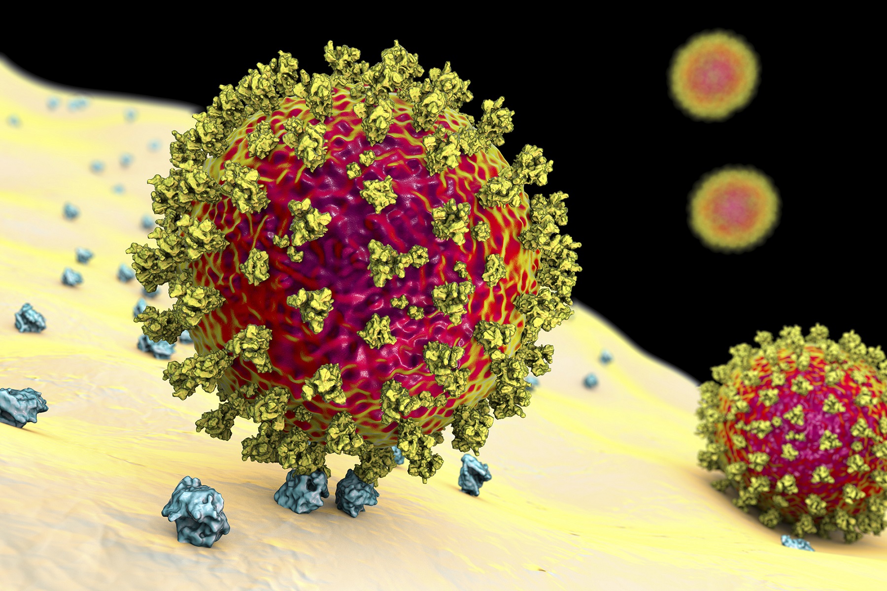 SARS-CoV-2 Μεταλλάξεις: Η ταυτόχρονη μόλυνση με δύο διαφορετικές παραλλαγές του ιού δεν επιδρά στη σοβαρότητα της νόσου
