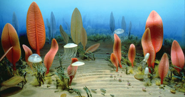 Θάλασσα Ζωή: Ερευνητές βρήκαν σε απολίθωμα τον πρόγονο των σύγχρονων μορφών ζωής