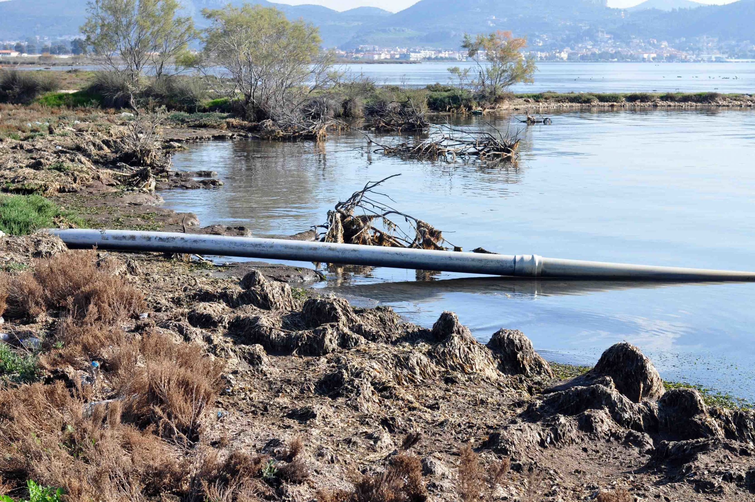 Κορωνοϊός Λύματα: Μείωση ιικού φορτίου σε Αττική και Θεσσαλονίκη – Αύξηση 14% στο Βόλο