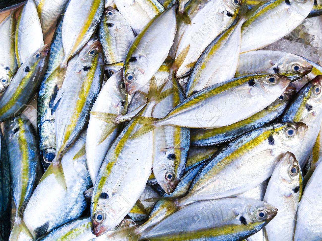 Οι κρυμμένοι κίνδυνοι της κατανάλωσης ψαριών από τη θάλασσα