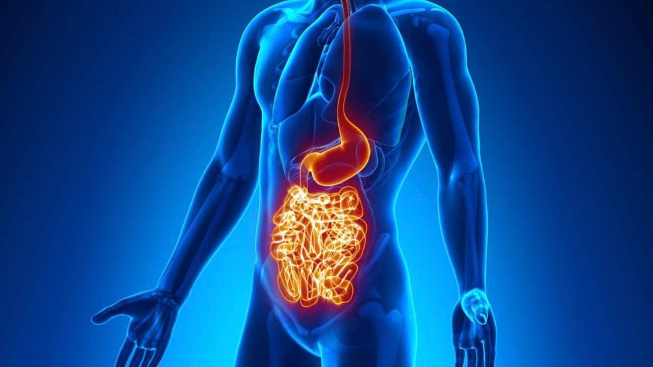 Νόσος Crohn έρευνα θεραπεία: Η νόσος του Crohn μπορεί να προκληθεί από αποτυχία ανοσολογικής σηματοδότησης