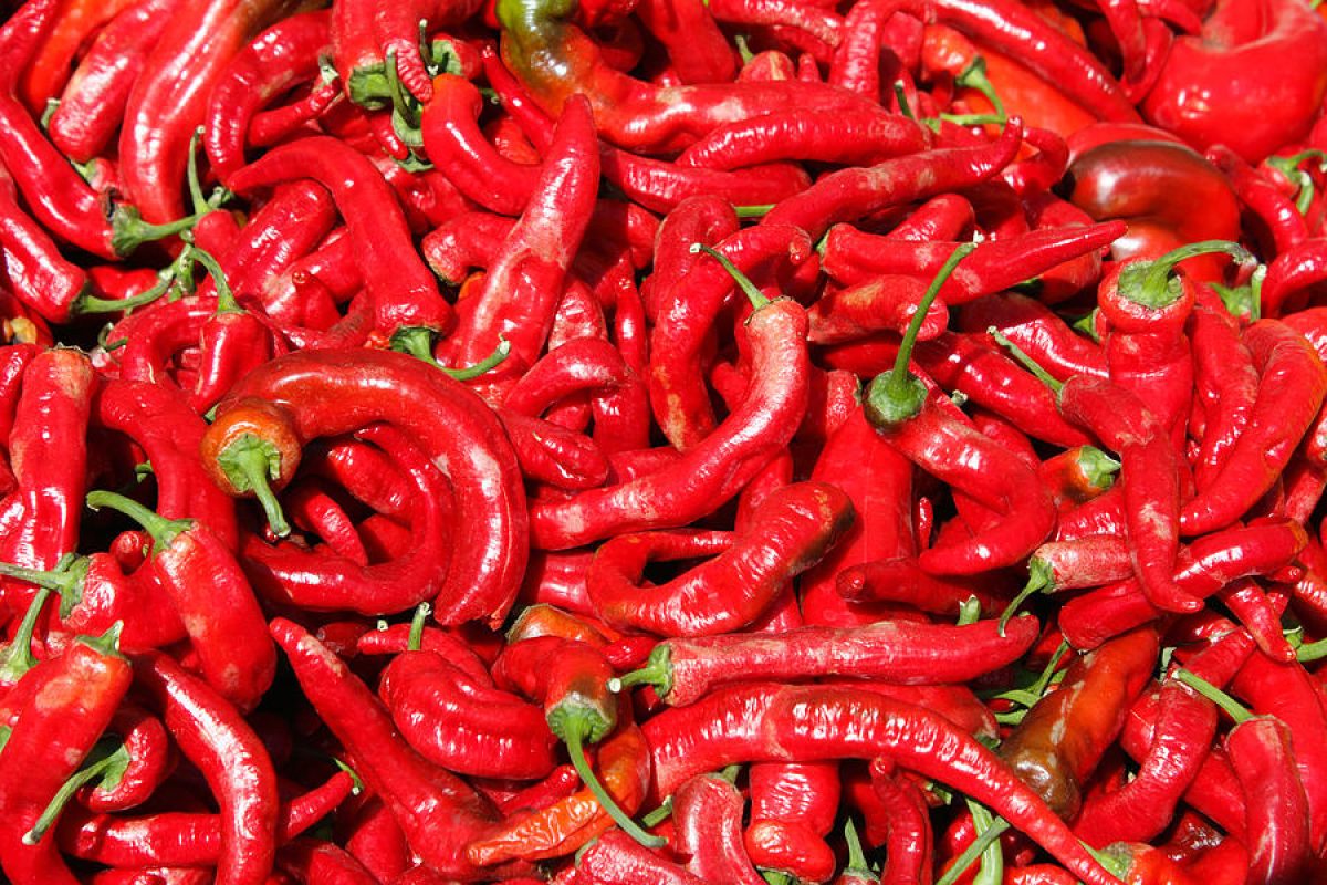 Καυτερές πιπεριές: Ο ρόλος της καψαϊκίνης στην υγεία