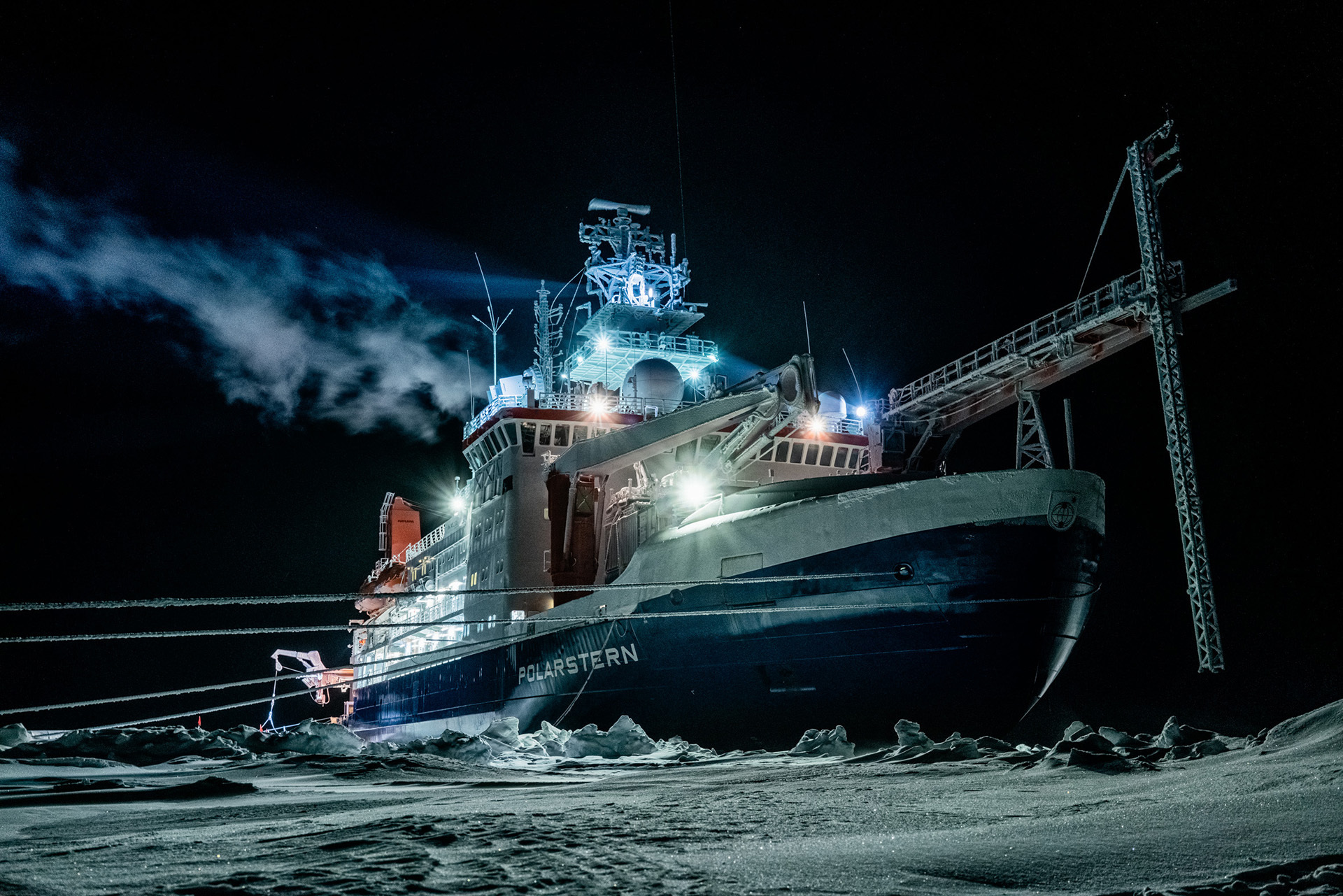 Θάλασσα Ζώα Ανταρκτική: Επιστήμονες ανακάλυψαν στην Ανταρκτική θάλασσα πλάσματα παγιδευμένα υπό του πάγου για 50 χρόνια [vid]