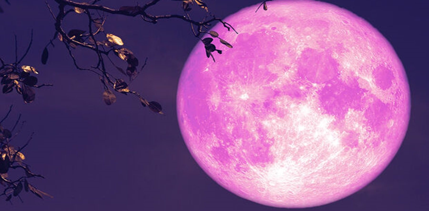 Розовая Луна фото. Розовая Луна картинки. High Moon.
