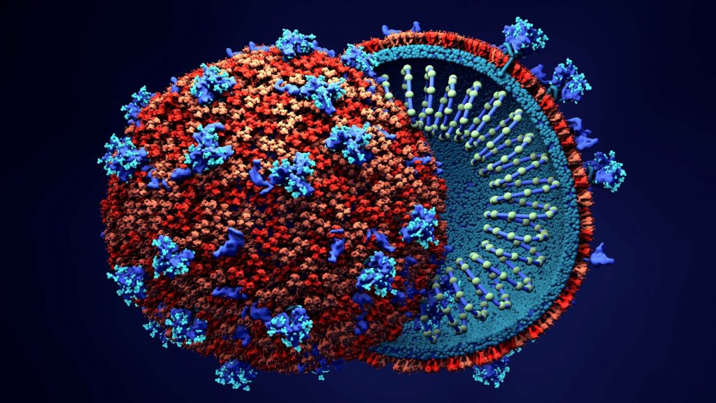  Πλήρη «χάρτη» του γονιδιώματος του κορωνοϊού δημιούργησαν ερευνητές του ΜΙΤ
