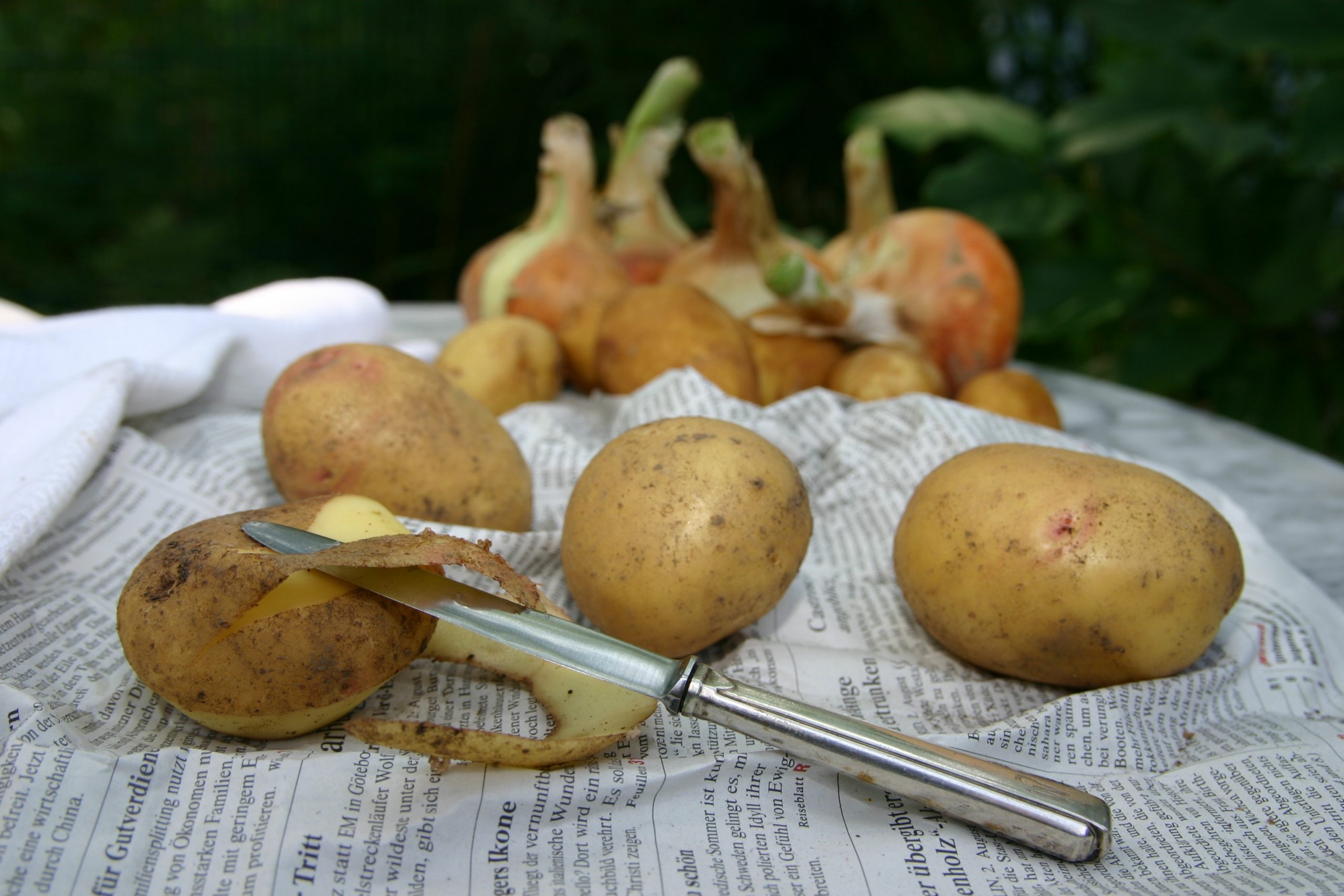 Πατάτα λαχανικό: Οι πατάτες τελικά παχαίνουν;