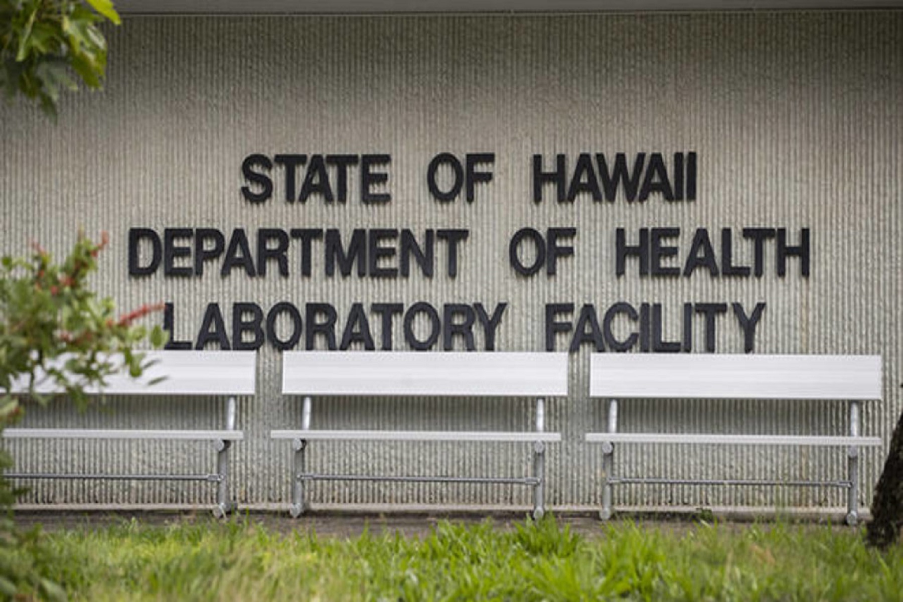 Παραλλαγή Δέλτα: Eμβολιασμένος κάτοικος της Χαβάης βρέθηκε θετικός λόγω της μετάλλαξης