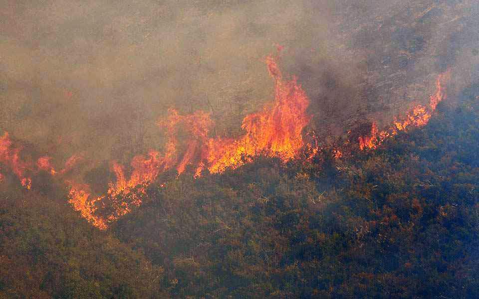 Πολιτική Προστασία: Υψηλός κίνδυνος πυρκαγιάς αύριο (01/07) – Σε επιφυλακή το Πυροσβεστικό Σώμα