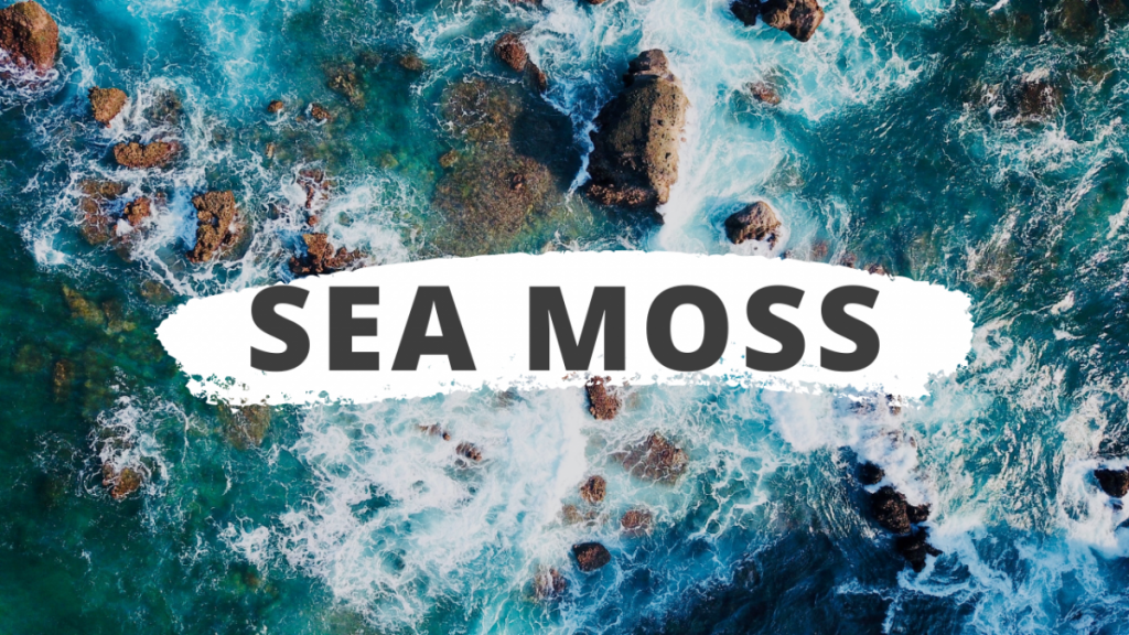 Πώς να χρησιμοποιήσετε Sea Moss Gel στη ρουτίνα ομορφιάς σας