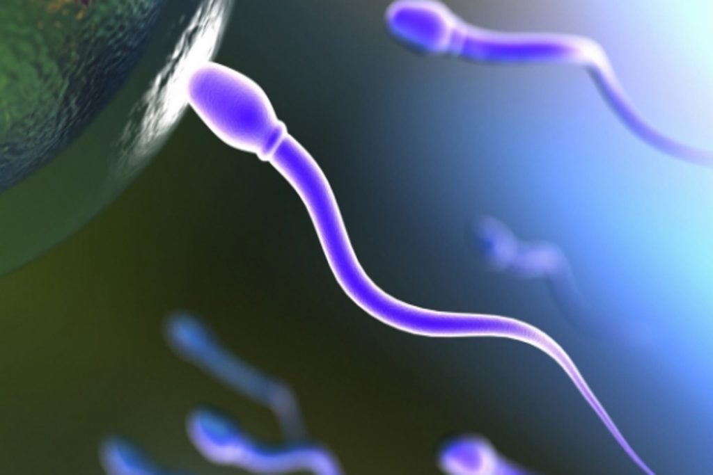 Εμβόλια Κορωνοιός : Η Επίδραση τους στο Σπέρμα