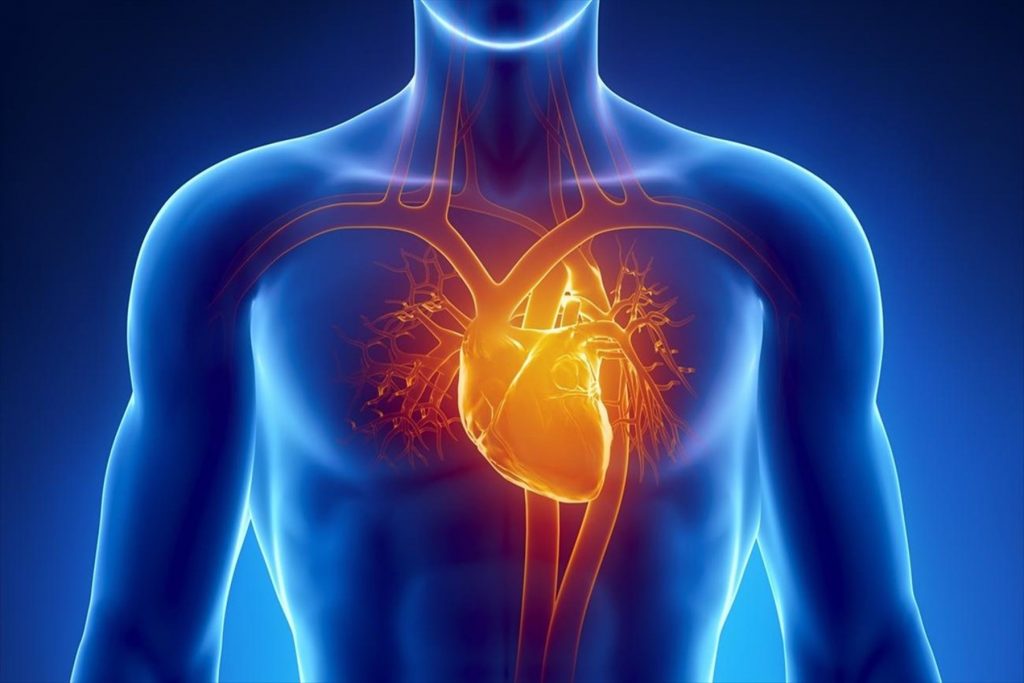 Καρδιά : Συμβουλές για να είναι υγιής