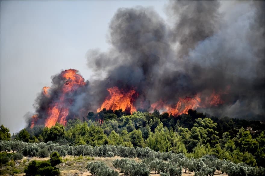 Φωτιά στην Εύβοια: Πυρκαγία σε δασική έκταση στην Κάρυστο