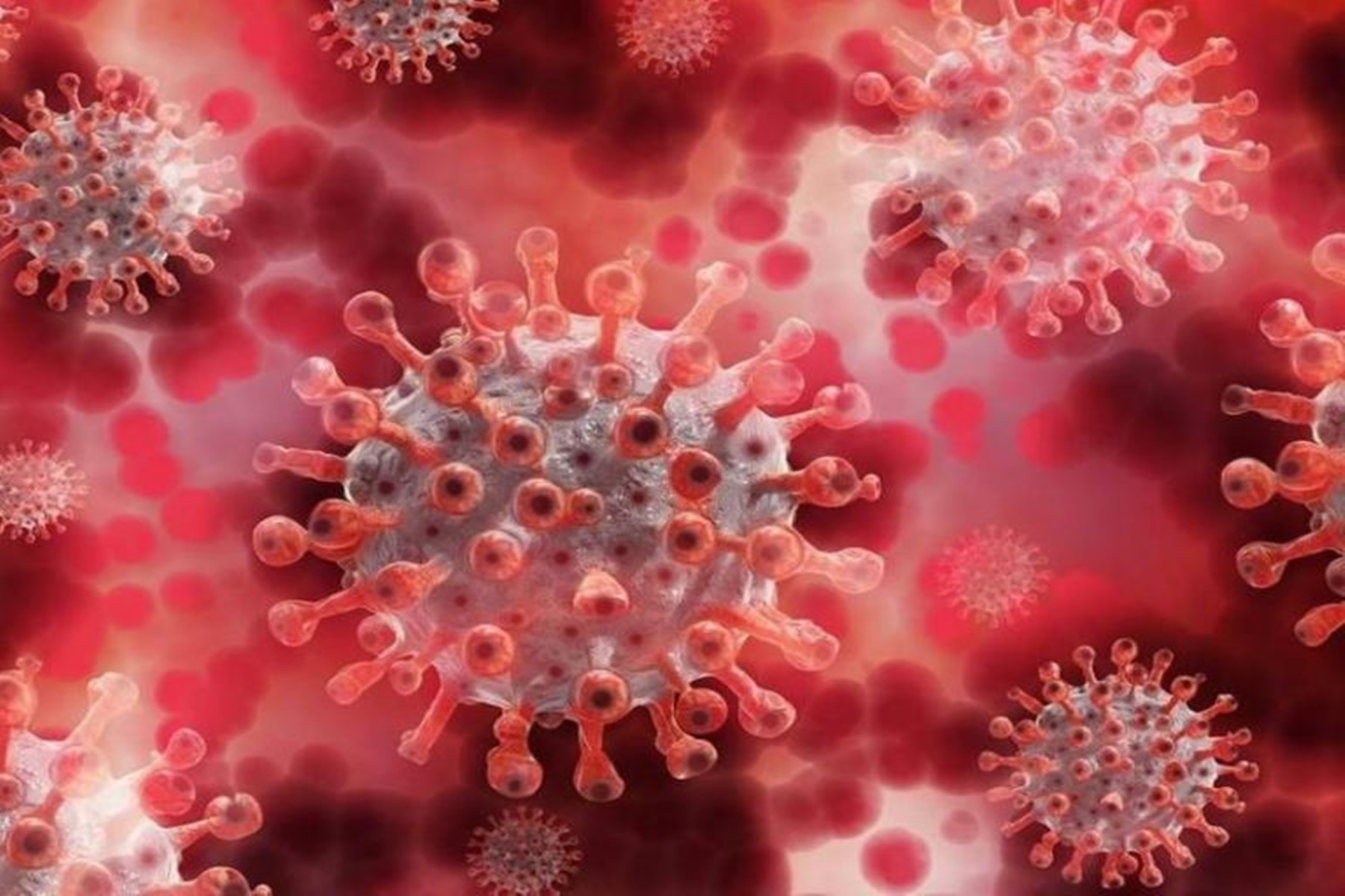 Κορωνοϊός μετάλλαξη δέλτα : Η Πρωτεΐνη ακίδα  προσδένει τον ιό στα ανθρώπινα κύτταρα