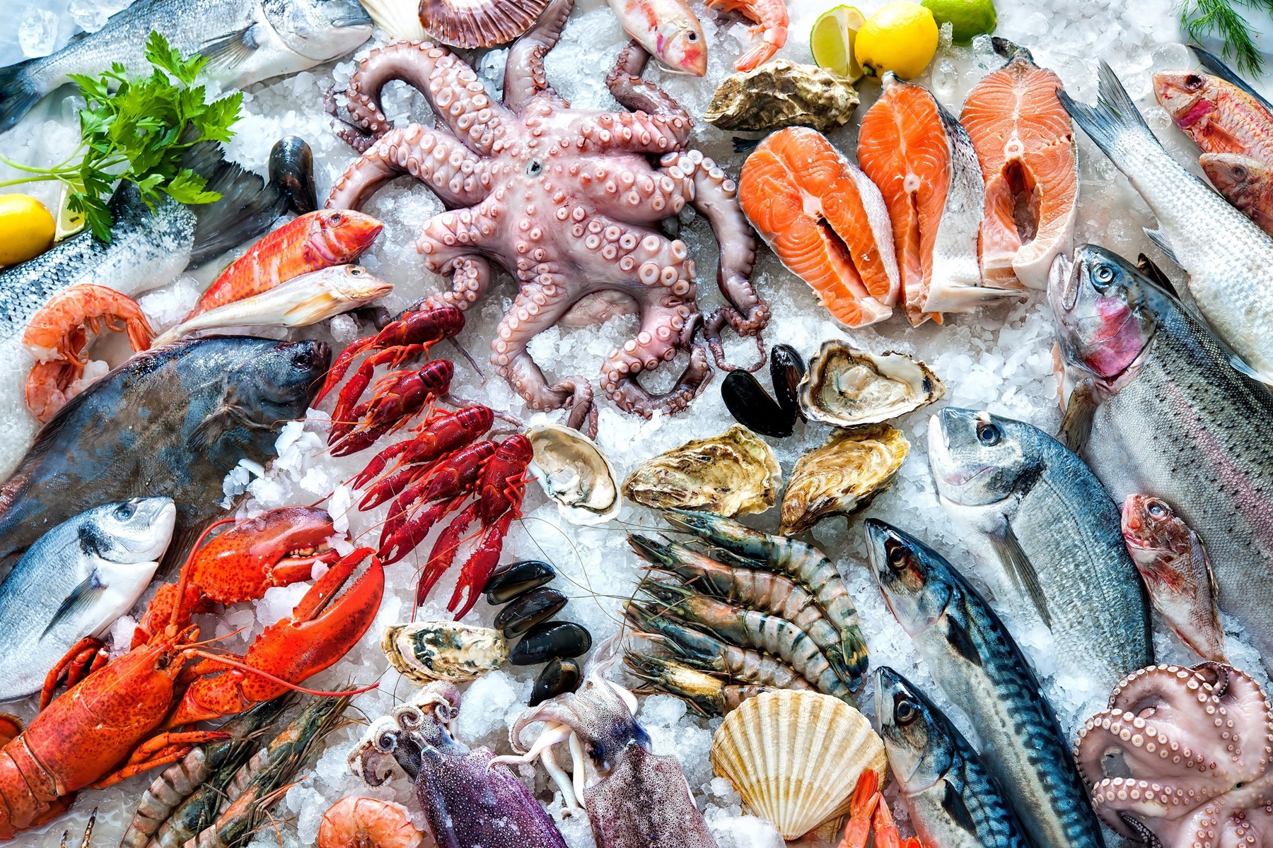 Διατροφή : Δείτε ποια ψάρια μπορείτε να καταναλώνετε καθημερινά