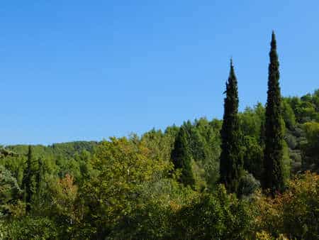 ΓΓΠΠ: Παράταση απαγόρευσης μετακίνησης σε δάση, εθνικούς δρυμούς, άλση και περιοχές Natura