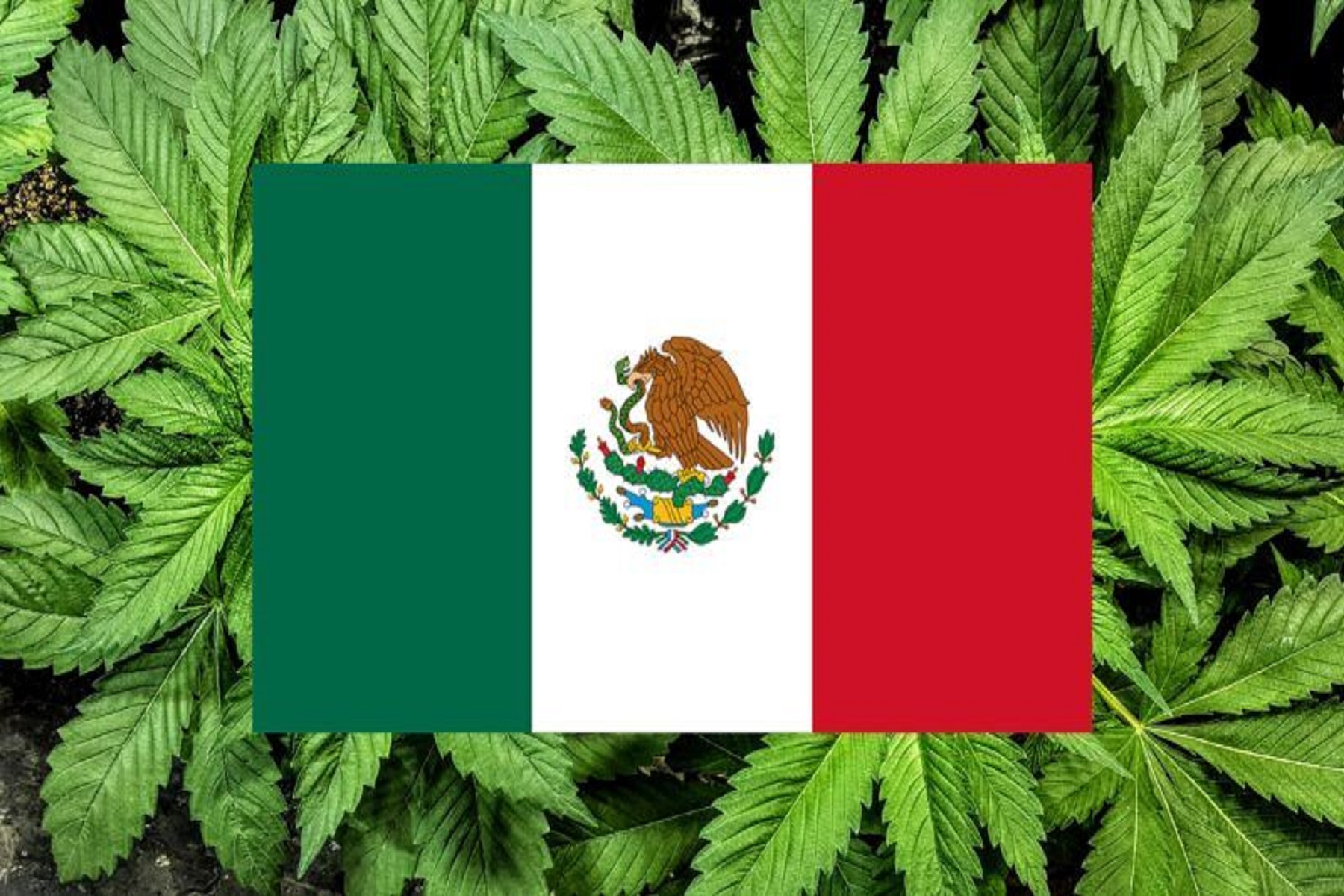 Αμερική Μεξικό: Το ανώτερο δικαστήριο δίνει άδειες για προσωπική χρήση μαριχουάνας