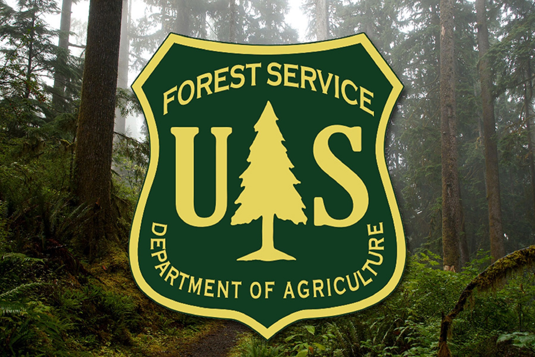 Βόρεια Καλιφόρνια: Η Δασική Υπηρεσία των ΗΠΑ κλείνει προσωρινά εννέα εθνικά δάση