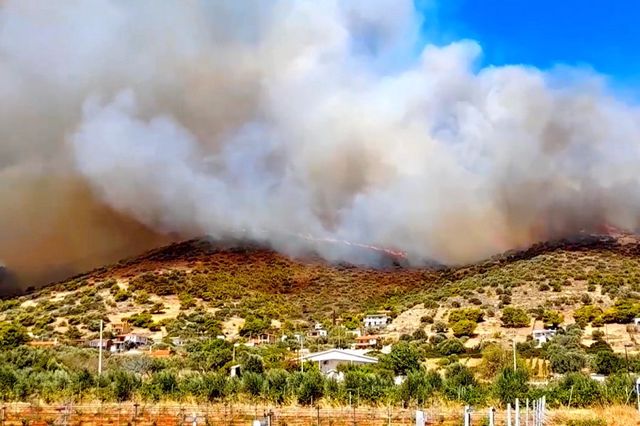 Πυρκαγιές Αττική: Δύσκολη νύχτα για τα Βίλια – Καλύτερη η κατάσταση σε Κερατέα [vid]