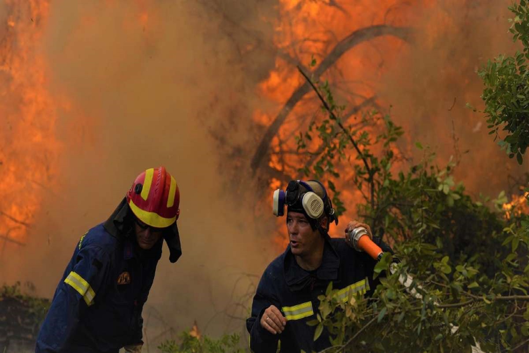 Βίλια Φωτιές: Σε πλήρη εξέλιξη η καταστροφική πυρκαγιά που ξέσπασε χθες και σήμερα καίει παρθένο δάσος.
