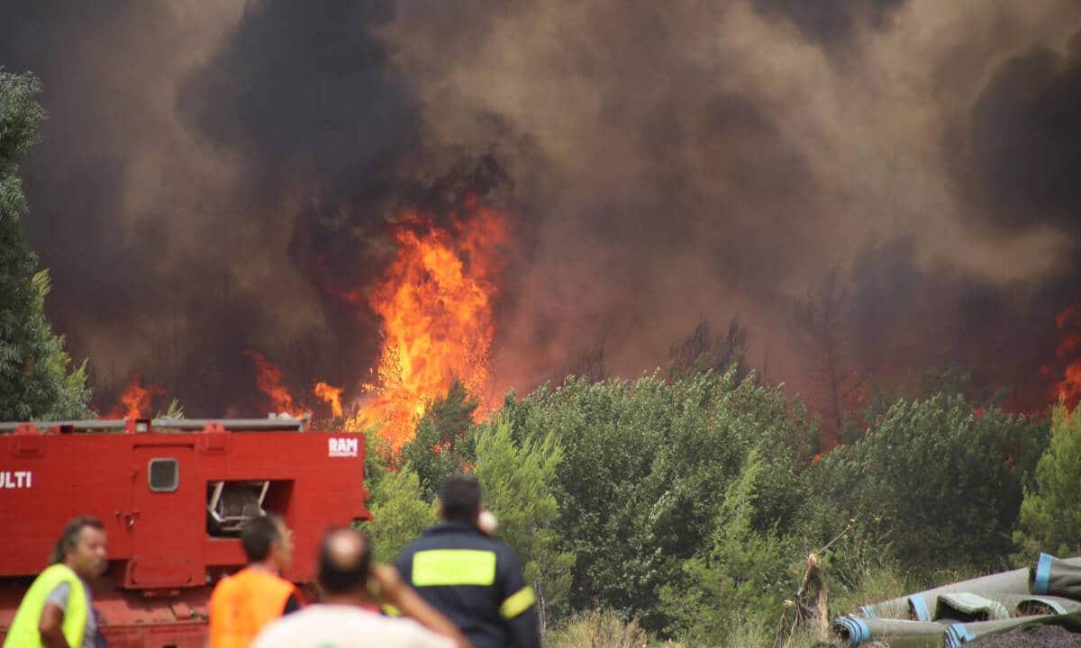 Νίκος Χαρδαλιάς: 56 τα ενεργά πύρινα μέτωπα στη χώρα