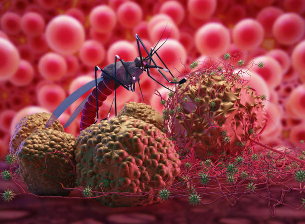 Eλονοσία: Μία δόση ενός νέου μονοκλωνικού αντισώματος αποτρέπει με ασφάλεια την ελονοσία