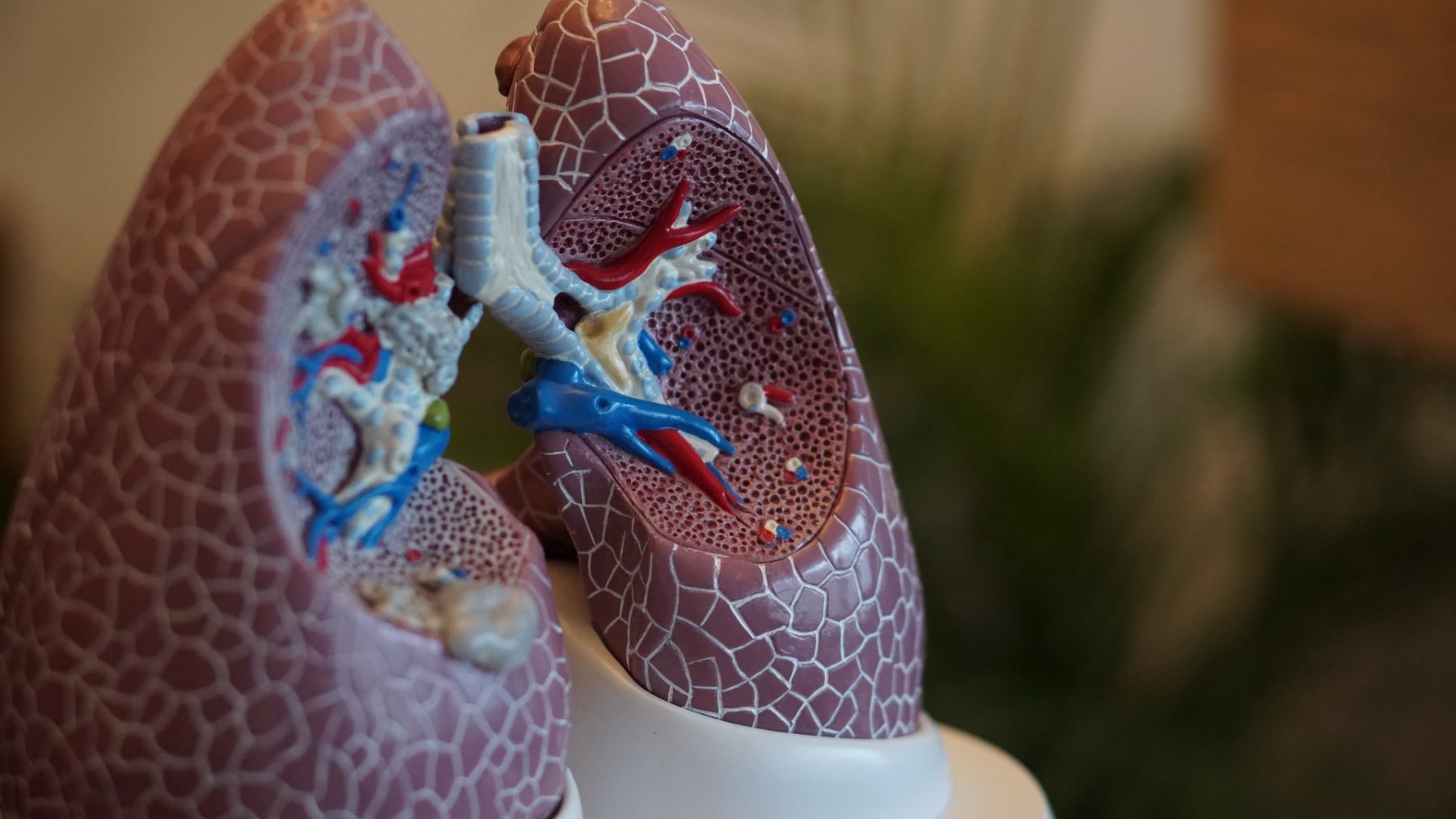 Χρόνια Αποφρακτική Πνευμονοπάθεια: Νέα ψηφιακή λύση για ασθενείς με ΧΑΠ