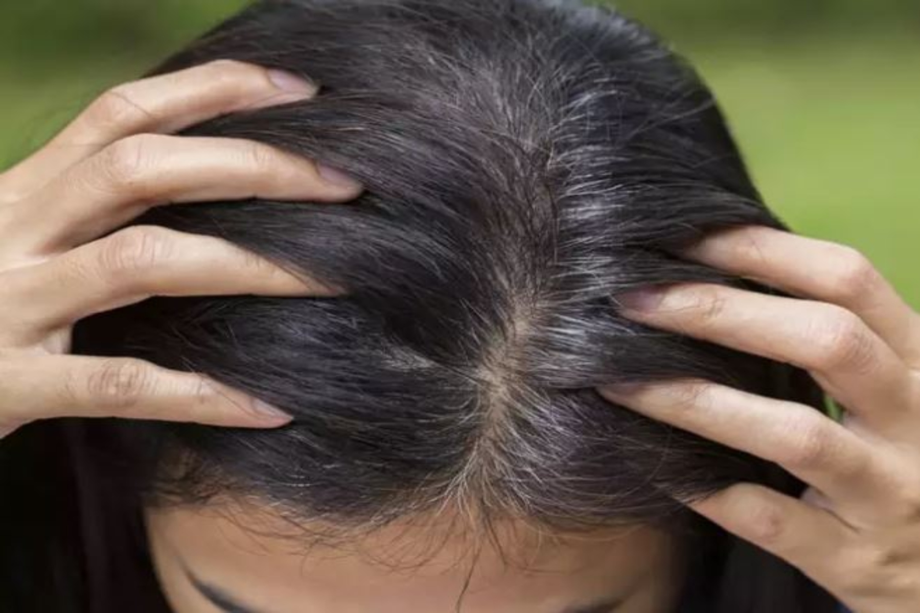 Γκρίζα μαλλιά: Μια φυτική συνταγή για να καθυστερήσει το γκριζάρισμα των μαλλιών σας