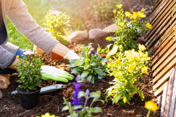 Άγχος αντιμετώπιση: Η κηπουρική μπορεί να είναι μια μεγάλη ανακούφιση από το άγχος