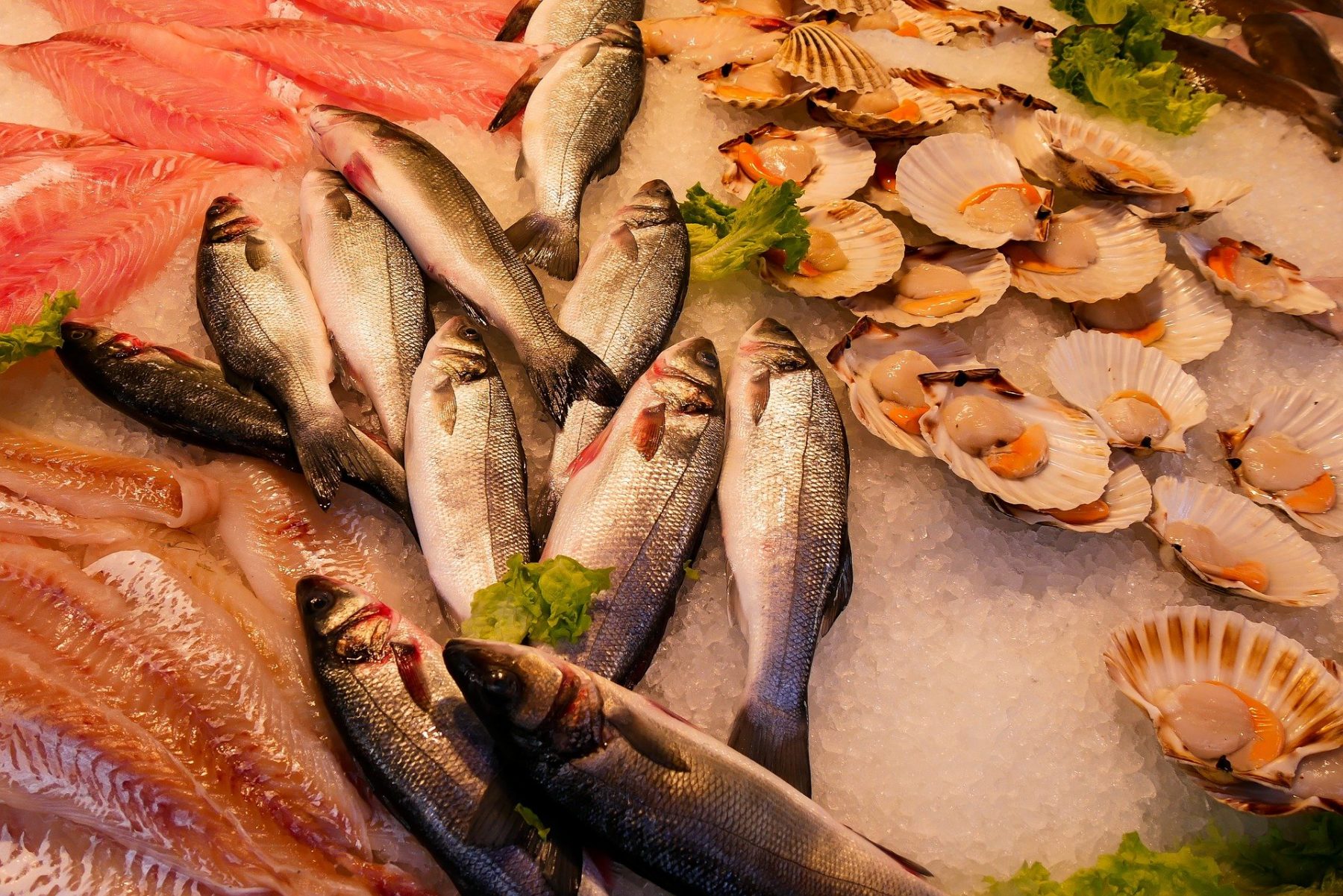 Ψάρια αγγειακή νόσος: Όσοι καταναλώνουν ψάρια συχνά μειώνουν τον κίνδυνο εμφάνισης άνοιας