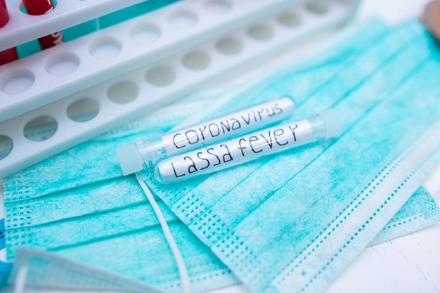 Κορωνοϊός Αφρική: Πώς έχει επηρεάσει η πανδημία Covid τη διαχείριση του πυρετού Lassa στην Αφρική