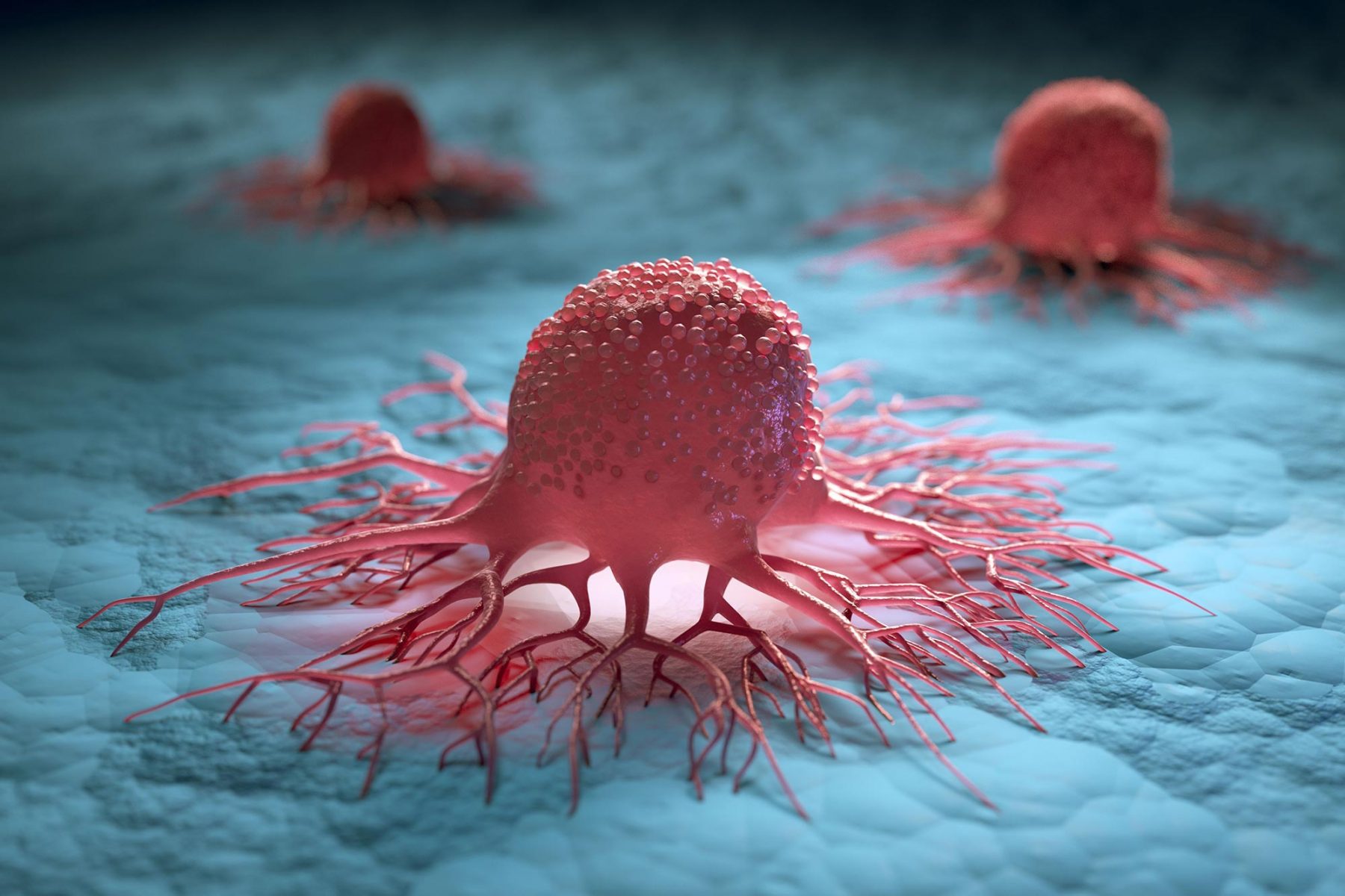 Καρκινικά κύτταρα λειτουργία: Ανακάλυψη μηχανισμού που εξηγεί την επανεμφάνιση όγκων μετά τη θεραπεία